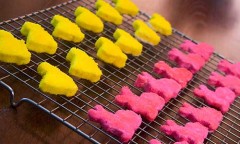 Painkiller Peeps - tweet #peepdrinks #12BBpeeps to vote for this in the contest ending May 30, 2011!